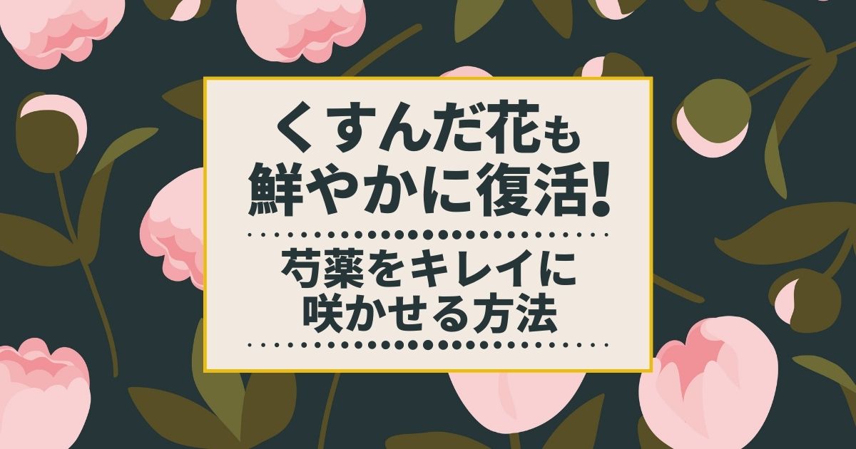 4種類ある芍薬の剪定方法と時期 大輪の花をつけるための手入れ方法 お庭110番