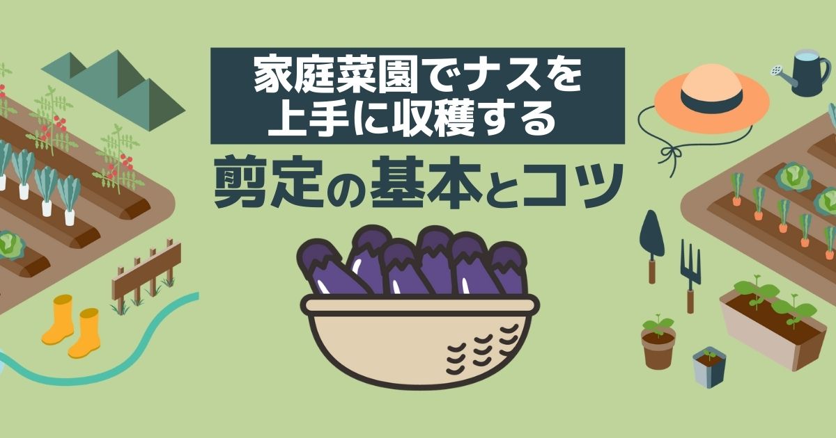 ナスの剪定時期と仕立て方 家庭菜園で野菜をうまく収穫する方法 お庭110番