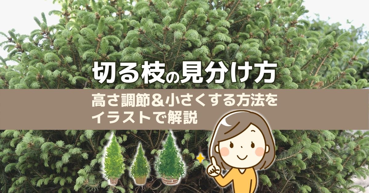 ツツジの剪定時期は5月 6月 サツキと見分けて正しい方法で切ろう お庭110番