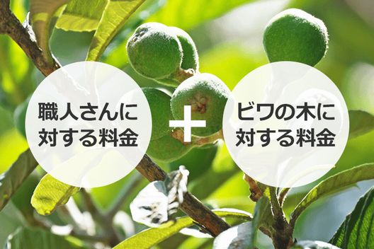 ビワ剪定の時期や方法は おいしい実を作るための知識 お庭110番