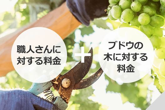 ブドウの剪定 時期は1月 美味しい実を収穫する栽培方法の基本伐採 剪定 草刈りなどお庭の悩みを最短即日で業者が解決 お庭110番