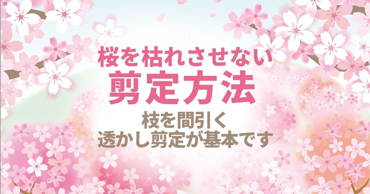 桜の剪定は時期と方法が重要 切り口も処置して枯れるリスクを回避 お庭110番