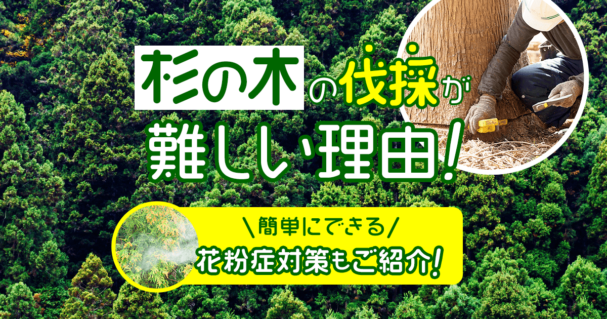 杉の木の伐採が困難な理由