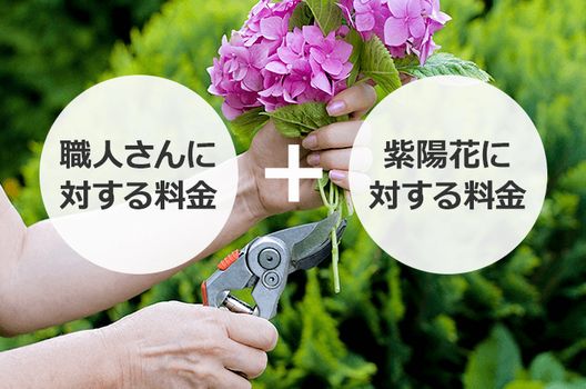 紫陽花の剪定に適した時期と方法 美しい花を咲かせるポイント伐採 剪定 草刈りなどお庭の悩みを最短即日で業者が解決 お庭110番