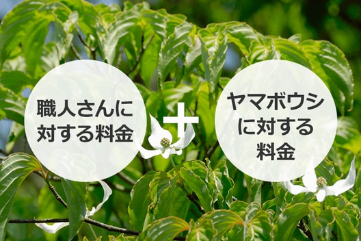 ヤマボウシの剪定方法 時期 花芽を切らずに大きすぎる樹形を抑える育て方 お庭110番