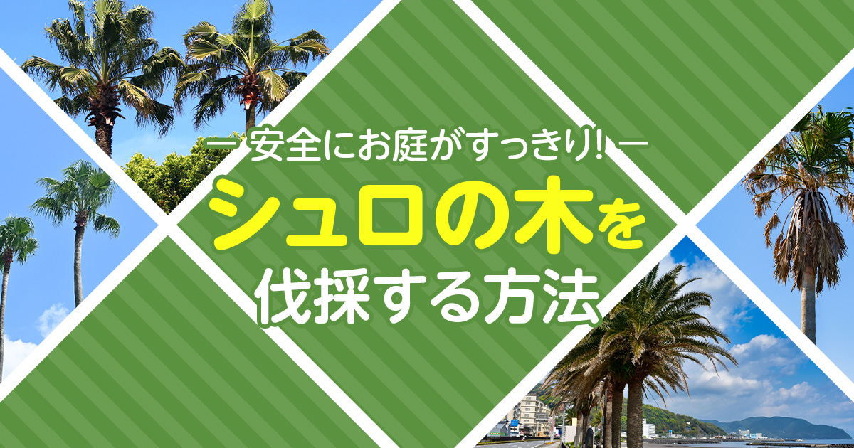 シュロの木を伐採できる！安全な伐採ですっきりした庭にする方法 | お