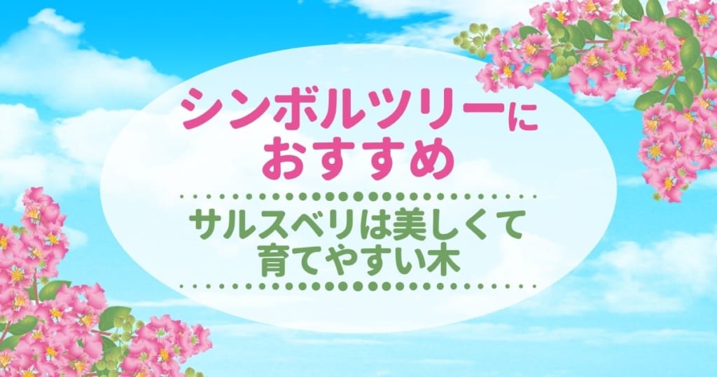 「サルスベリ（百日紅）を植えてはいけない」と言われてもシンボルツリーにおすすめの理由