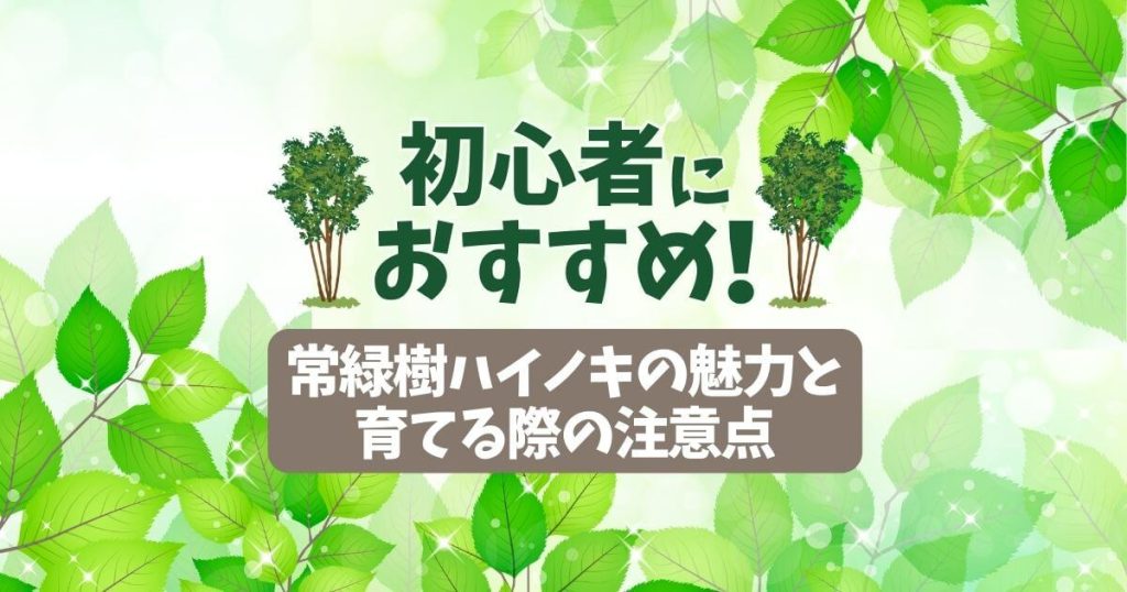 初心者におすすめ！常緑樹ハイノキの魅力と育てる際の注意点
