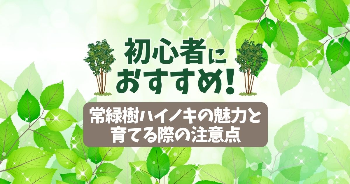 ハイノキはシンボルツリーにおすすめの常緑樹｜自然樹形と花実が魅力
