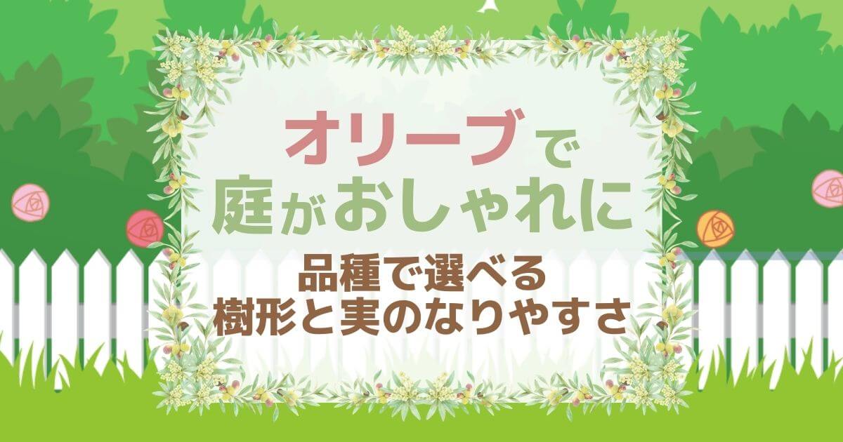 オリーブで庭がおしゃれに品種で選べる樹形と実のなりやすさ