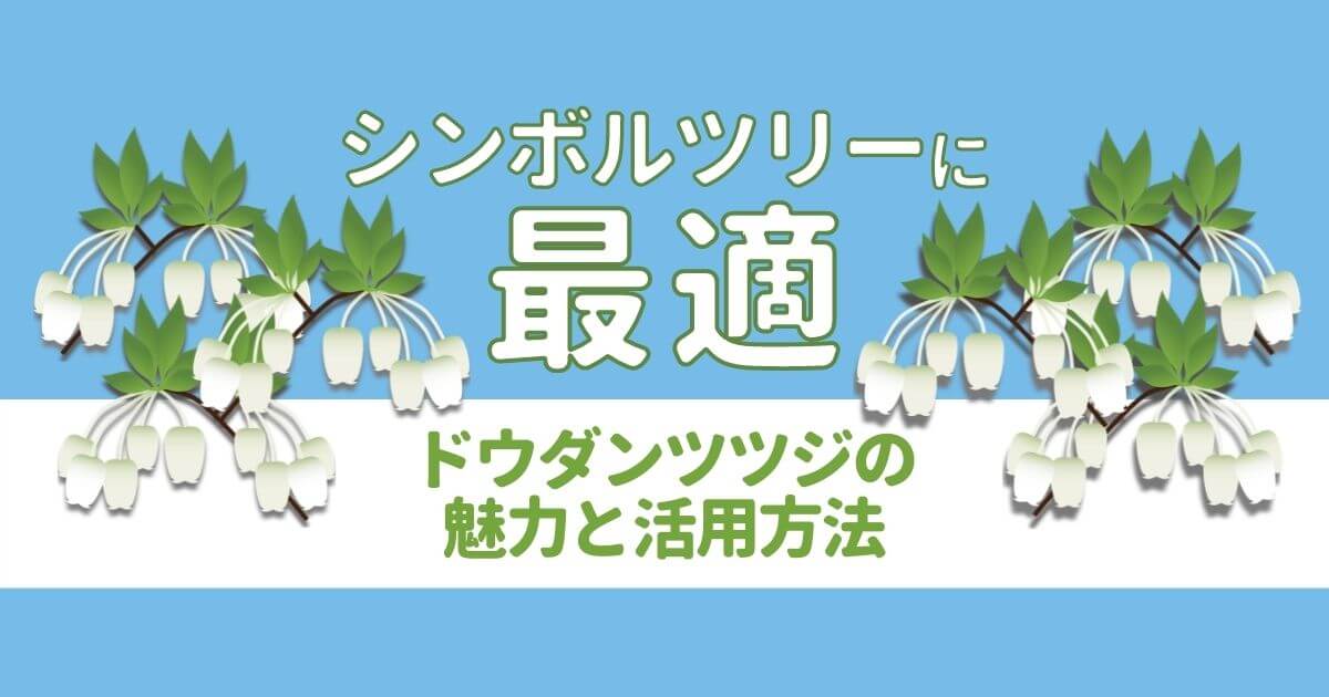 シンボルツリーに最適ドウダンツツジの魅力と活用方法