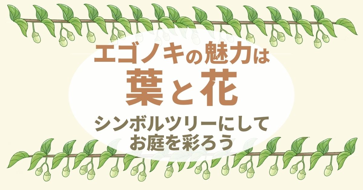 エゴノキのシンボルツリーは自然樹形が美しい｜花は庭のアクセントに