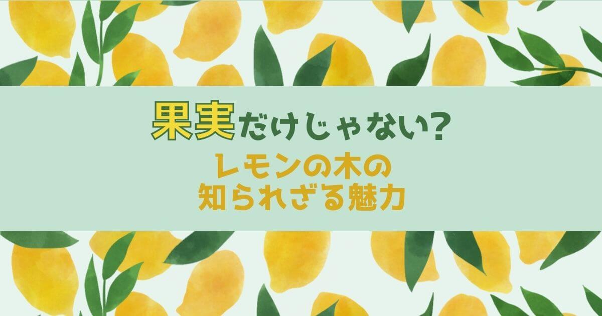 果実だけじゃない？レモンの木の知られざる魅力