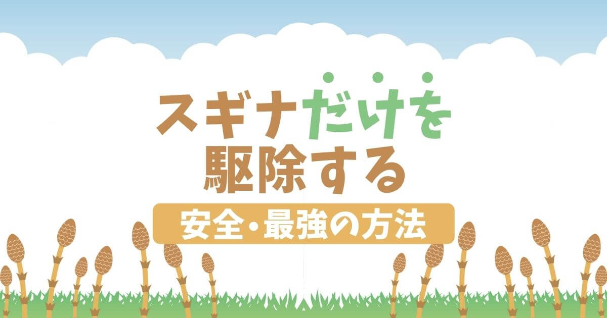 スギナだけを駆除する安全・最強の方法