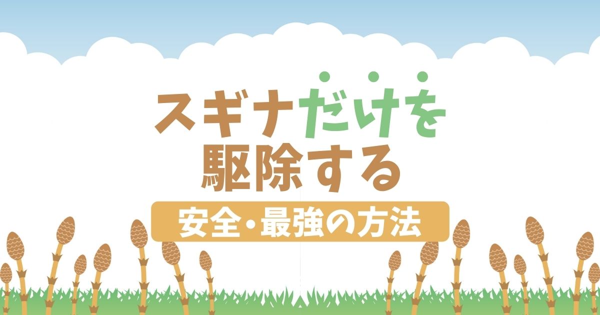 スギナ対策は芝生も畑も無農薬で 雑草だけ除草剤で枯らす方法も紹介 お庭110番