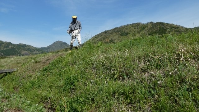 法面の草刈り