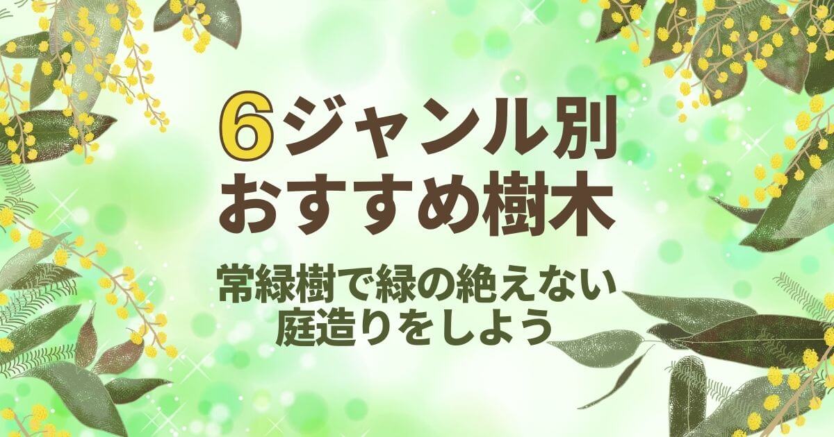 6ジャンル別おすすめ樹木常緑樹で緑の絶えない庭造りをしよう