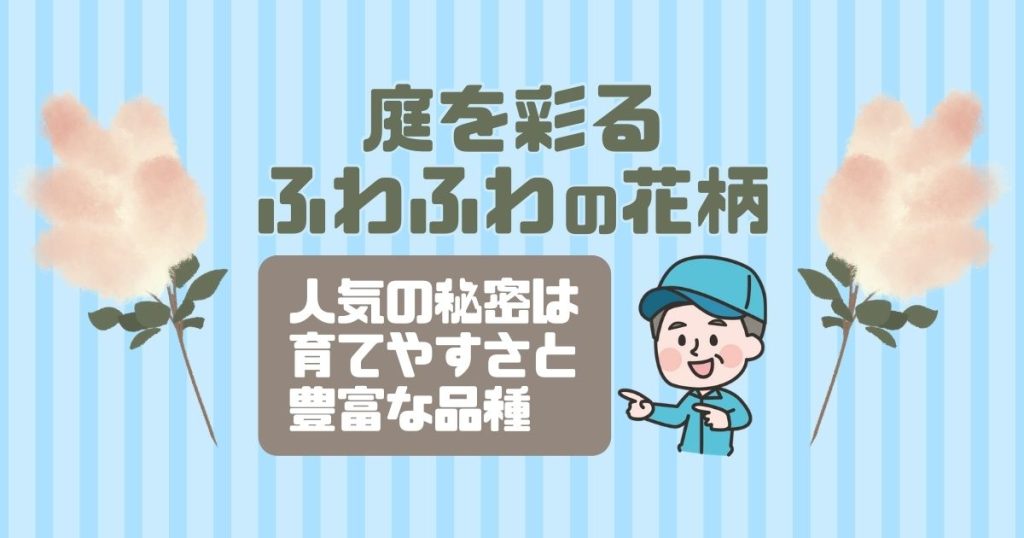 庭を彩るふわふわの花柄人気の秘密は育てやすさと豊富な品種