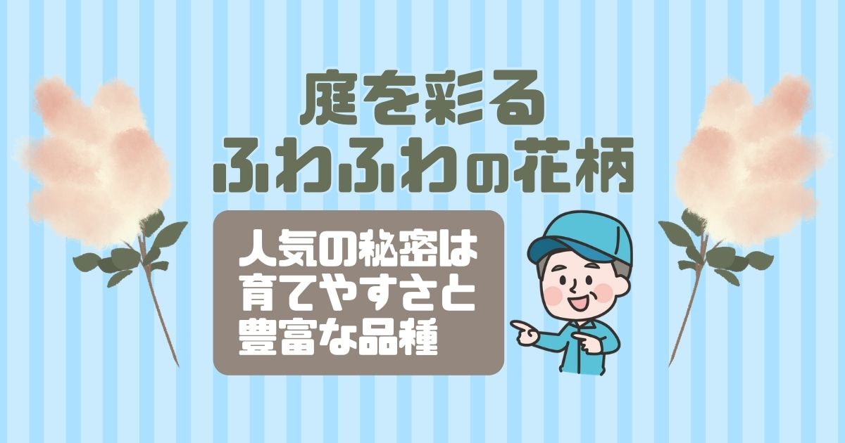 庭を彩るふわふわの花柄人気の秘密は育てやすさと豊富な品種