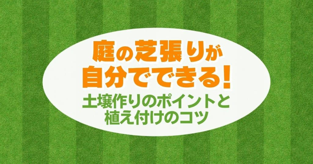 【芝生の張り方】初心者でも簡単！仕上がりが美しくなる下地作りと芝の種類の選び方