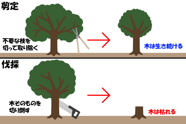 伐採 と 剪定 の 違い