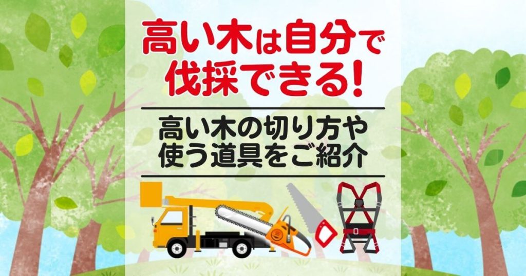 高い木は自分で伐採できる高い木の切り方や使う道具をご紹介