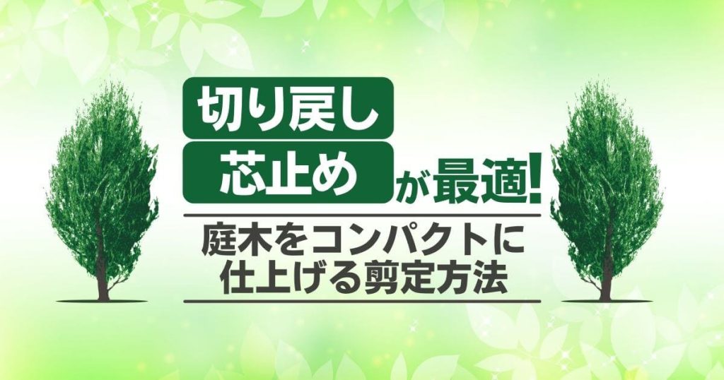 切り戻し・芯止めが最適！ 庭木をコンパクトに仕上げる剪定方法