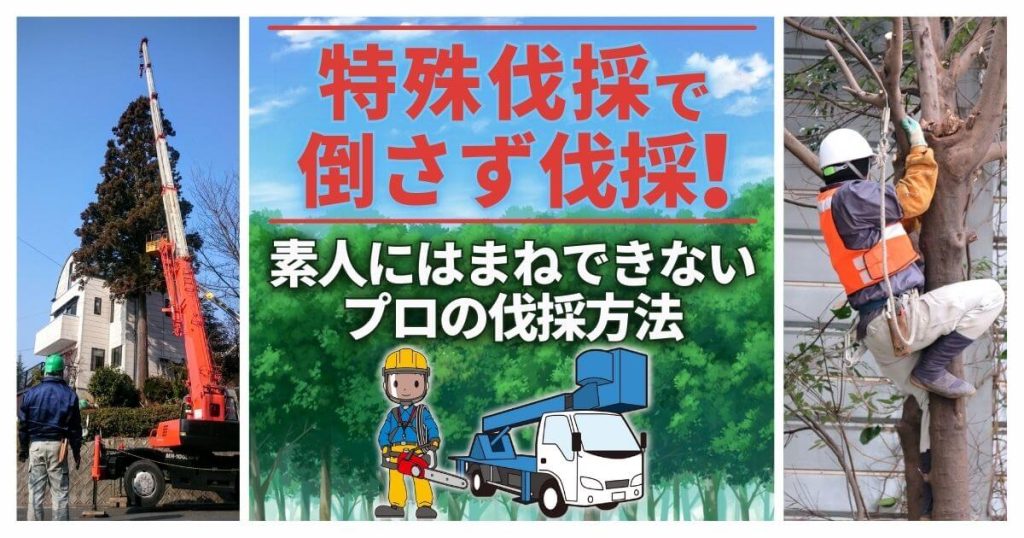 特殊伐採で倒さず安全に伐採！プロが技術を駆使する伐採方法紹介