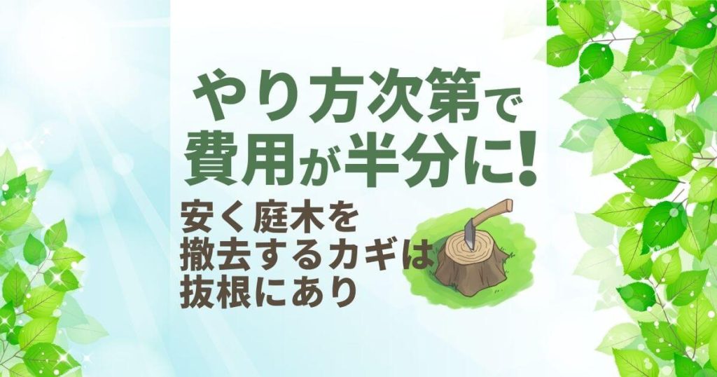 伐採と抜根の違いは「切り株をどうするか」費用を抑えて庭木を撤去するベストな選択方法