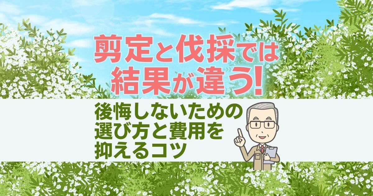 伐採 と 剪定 の 違い