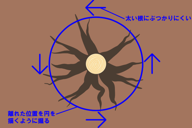 掘る位置