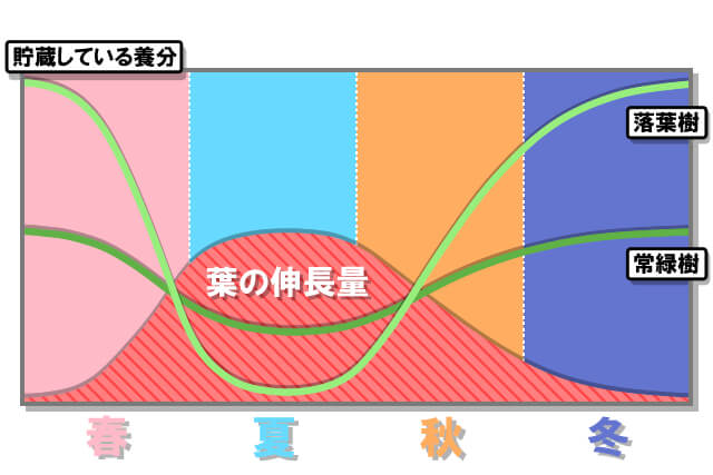 季節ごとに植物が貯蔵している養分と葉の伸長量