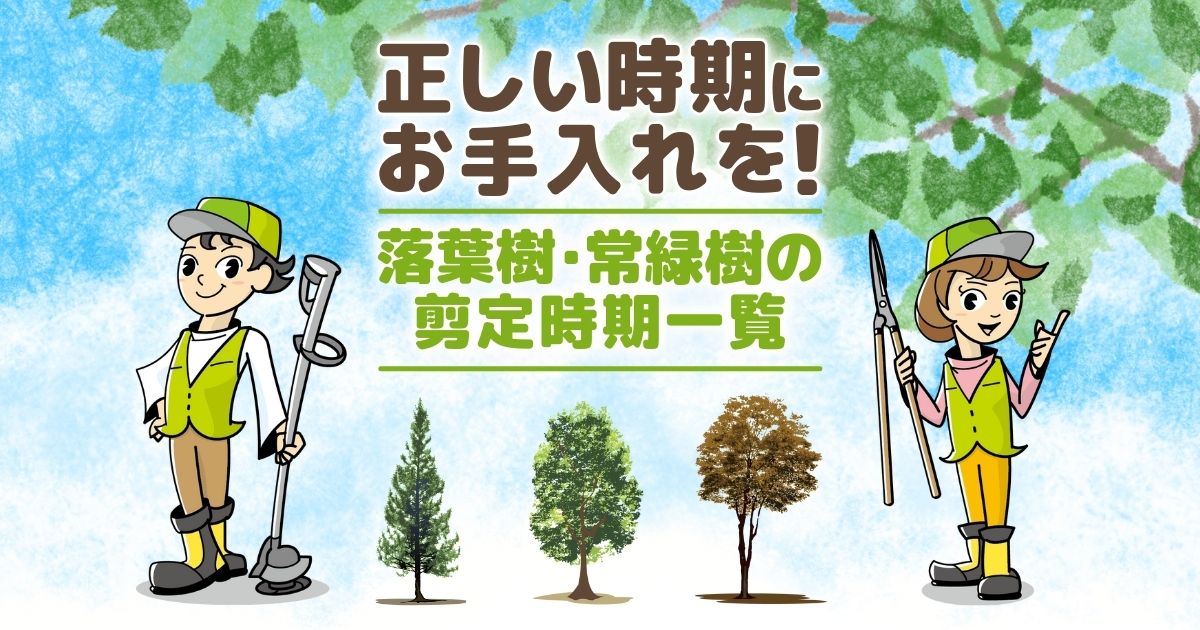 【剪定時期一覧表】庭木を枯らさず健康に保つ正しい手入れのタイミング