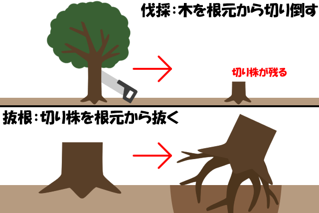 伐採と抜根の違い