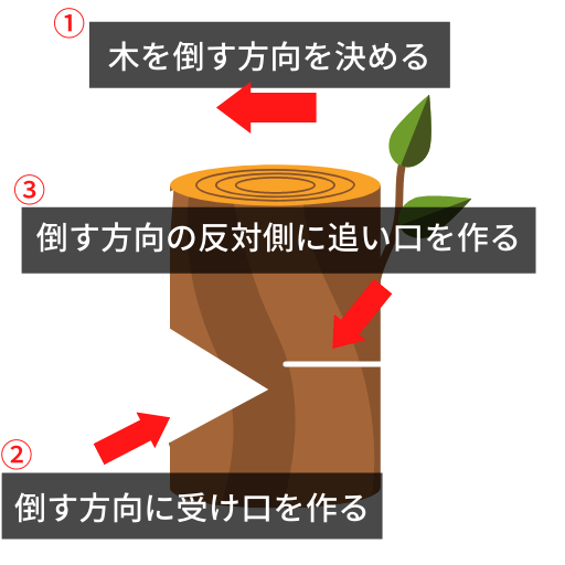 木を倒す方向・受け口・追い口