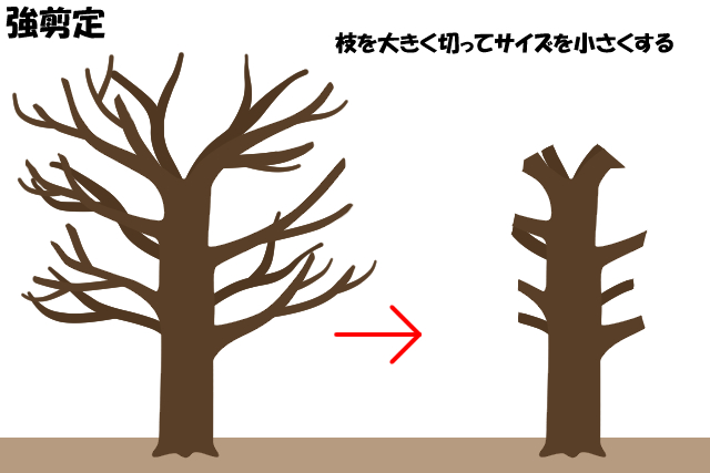 剪定と伐採の違いは木を残すか枯らすか 最小限の費用で邪魔な庭木を小さくしてトラブルを防ぐ方法 お庭110番