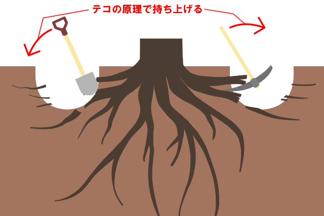 抜根方法