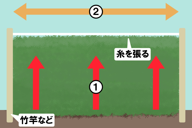 刈り込み