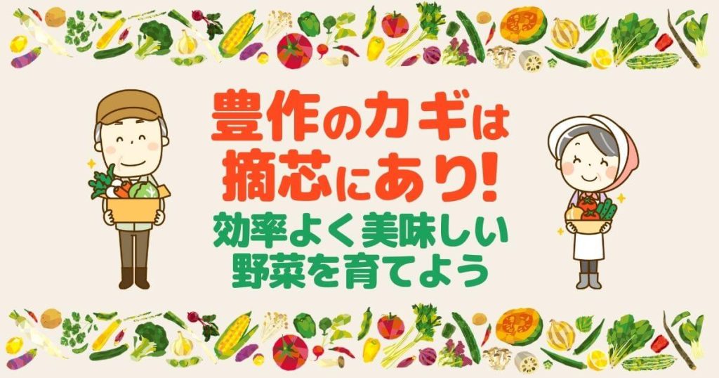 摘芯で野菜の収穫量をUP！一目でわかるコツとタイミング