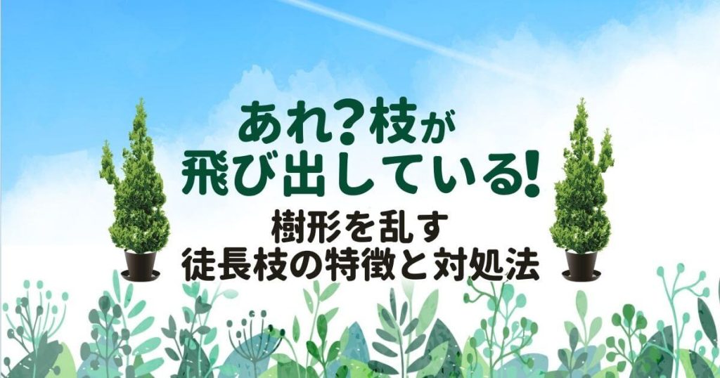 徒長枝を簡単に見分ける2つのポイント！不要な枝は剪定で除去しよう