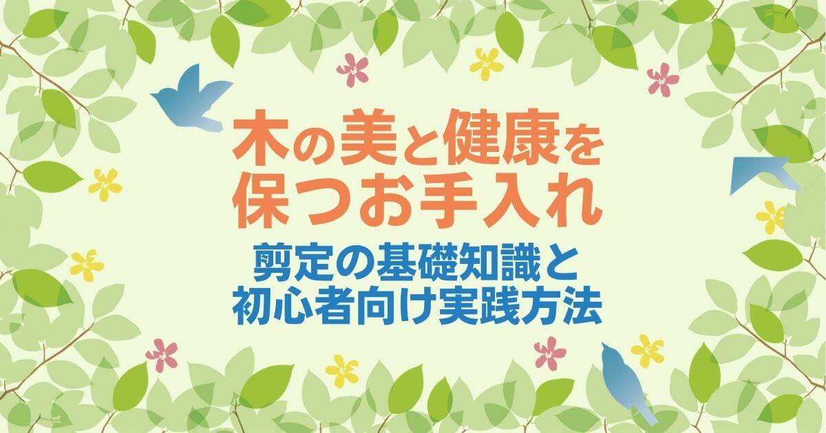 剪定とは？まずはこれをやれば大丈夫！木の美観と健康を保つためのお手入れ4ステップ