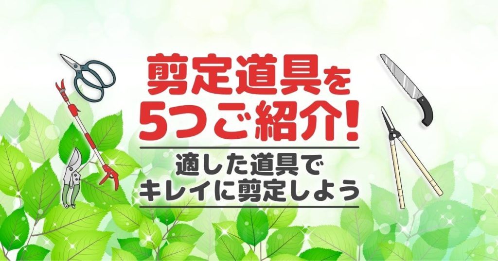 剪定道具を5つご紹介！適した道具でキレイに剪定しよう