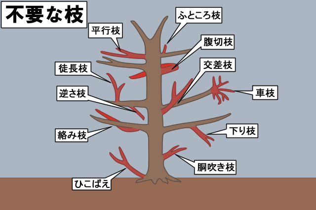 不要な枝