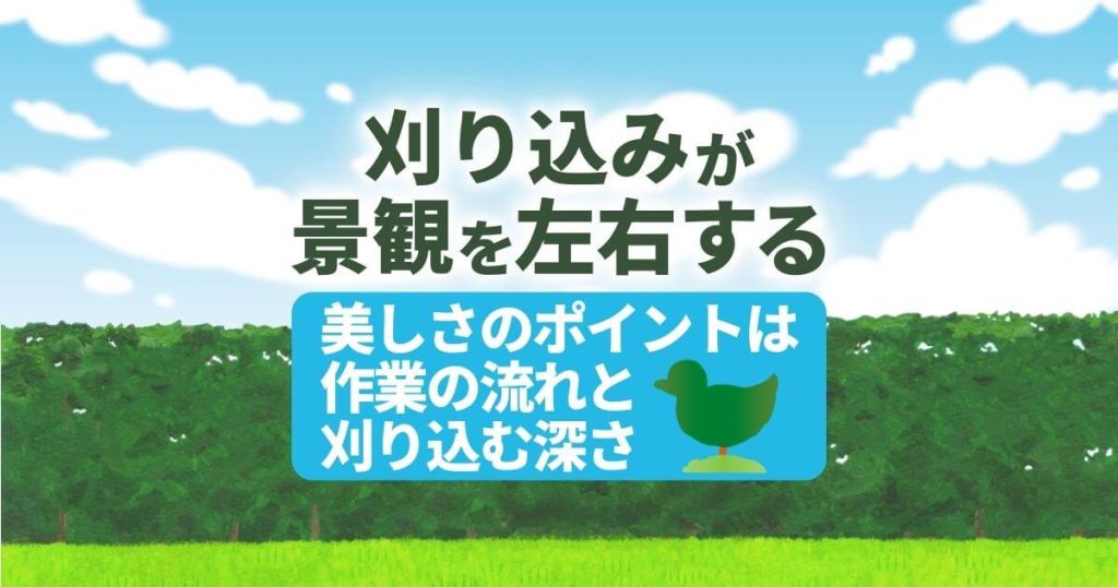 刈り込みが景観を左右する美しさのポイントは作業の流れと刈り込む深さ