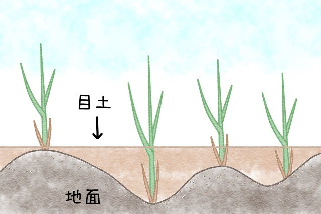 目土の量