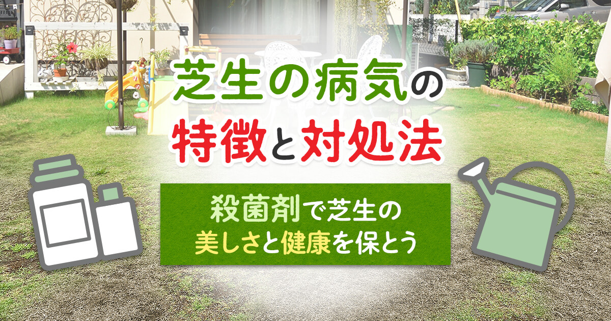 芝生の病気の見分け方ときれいな芝生が簡単に復活する殺菌剤の使い方 お庭110番 芝生の病気の見分け方ときれいな芝生が簡単に復活する殺菌剤の使い方 お庭110番