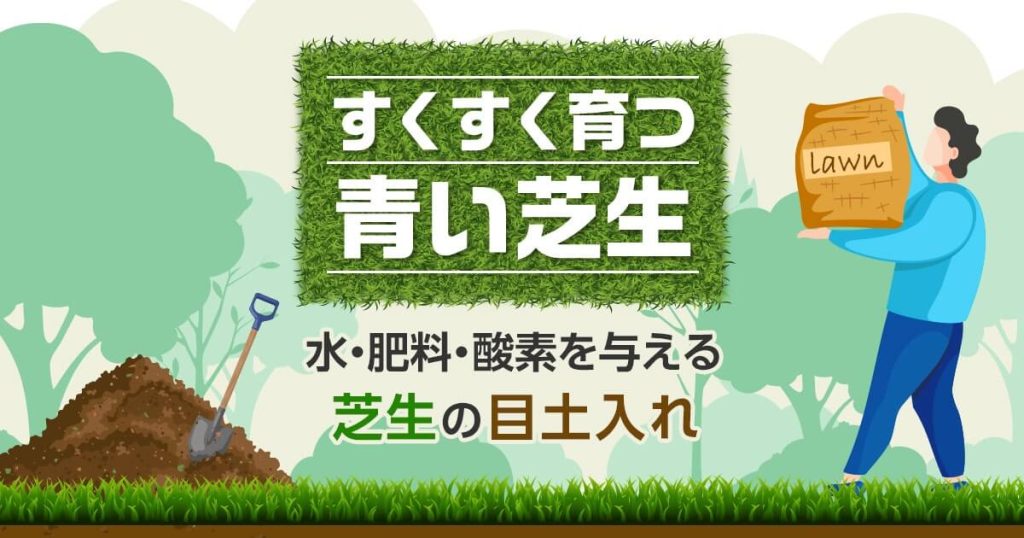 すくすく育つ青い芝生水・肥料・酸素を与える芝生の目土入れ