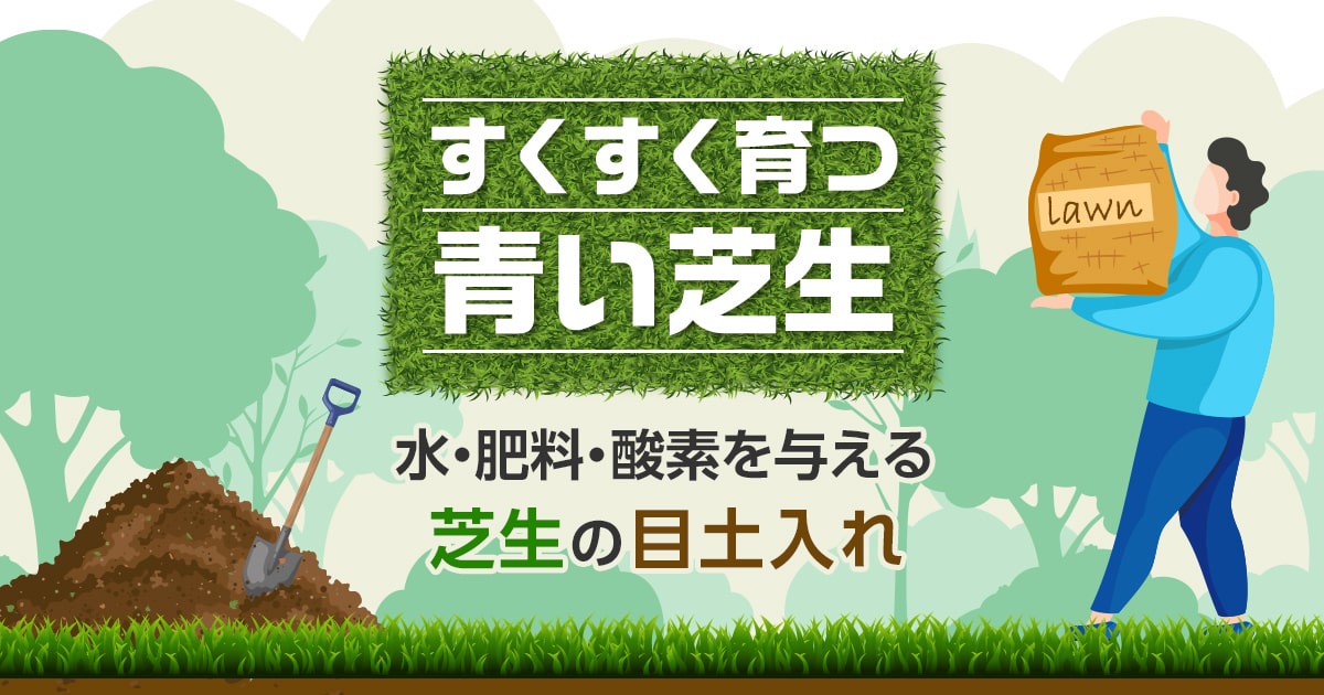 芝生の目土入れで失敗しない 時期や量 買う土がわかる完全まとめ お庭110番 芝生の目土入れで失敗しない 時期や量 買う土がわかる完全まとめ お庭110番