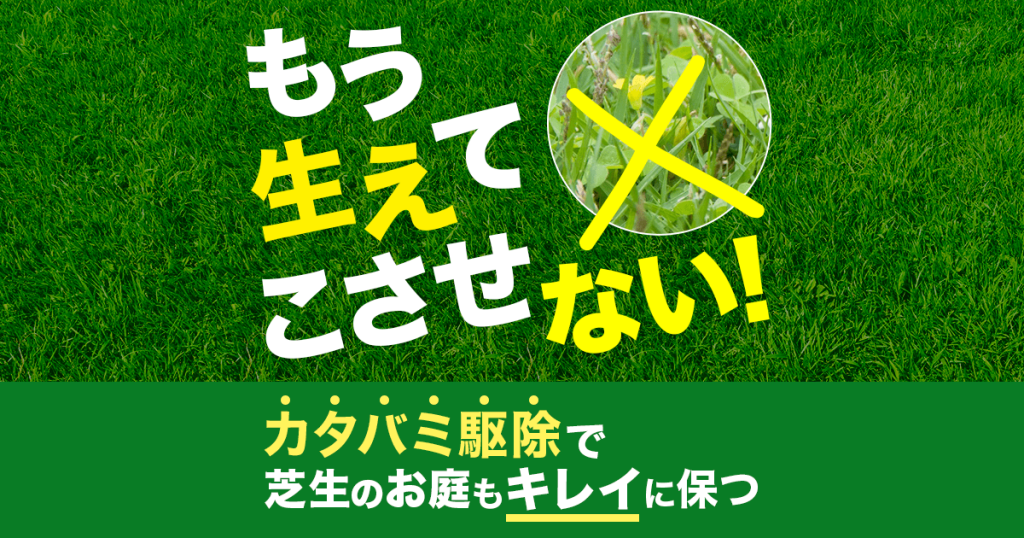 カタバミを駆除して二度と雑草が生えないきれいなお庭を作れる手軽な対策