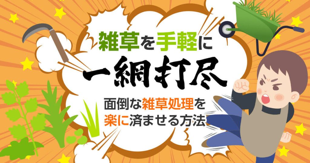 雑草を手軽に一網打尽面倒な雑草処理を楽に済ませる方法